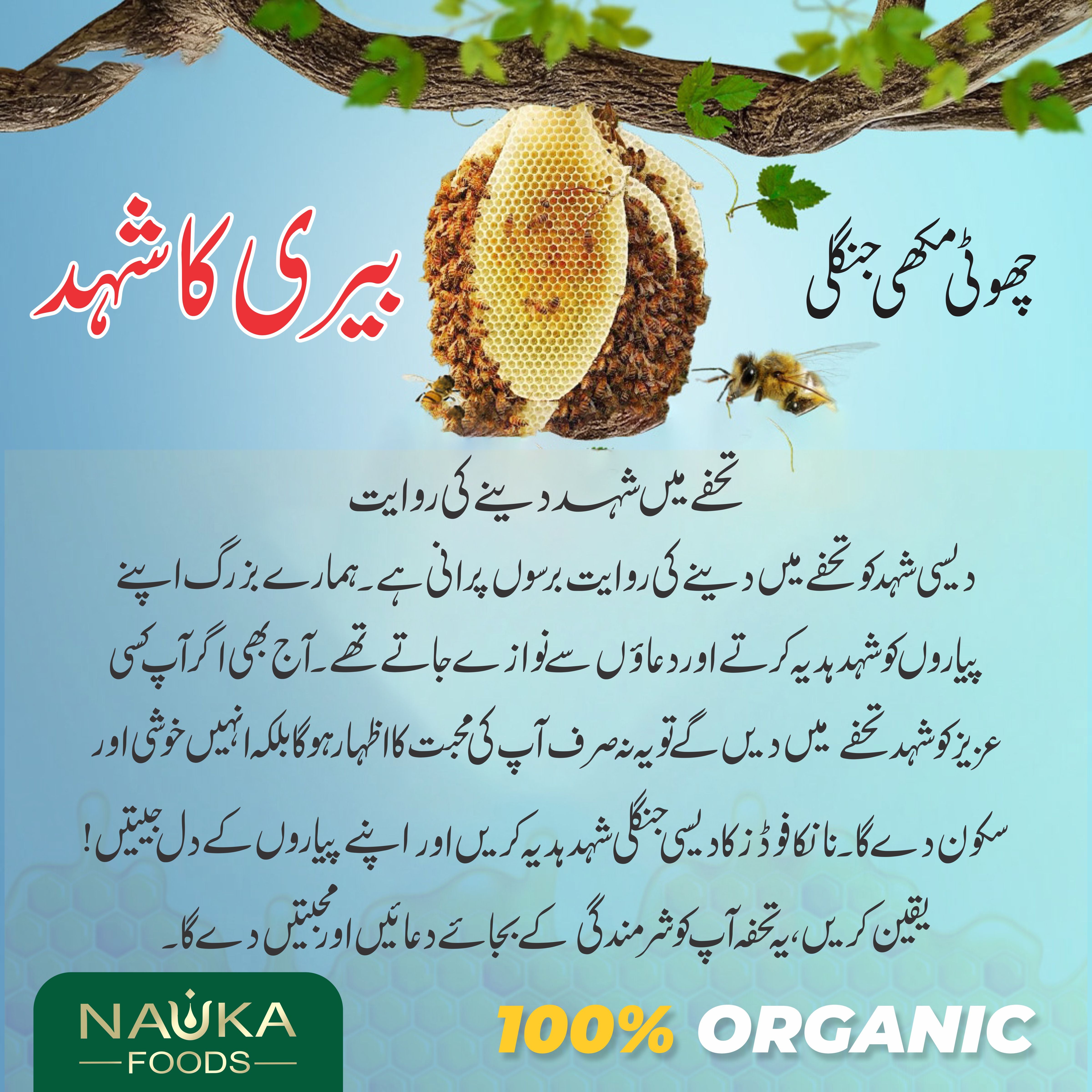 Pure Wild Mountain Sidr Honey from Small Bees – The Priceless Flavor of Potohar, Nature’s Healing Treasure! 🌿🍯 Order Now!