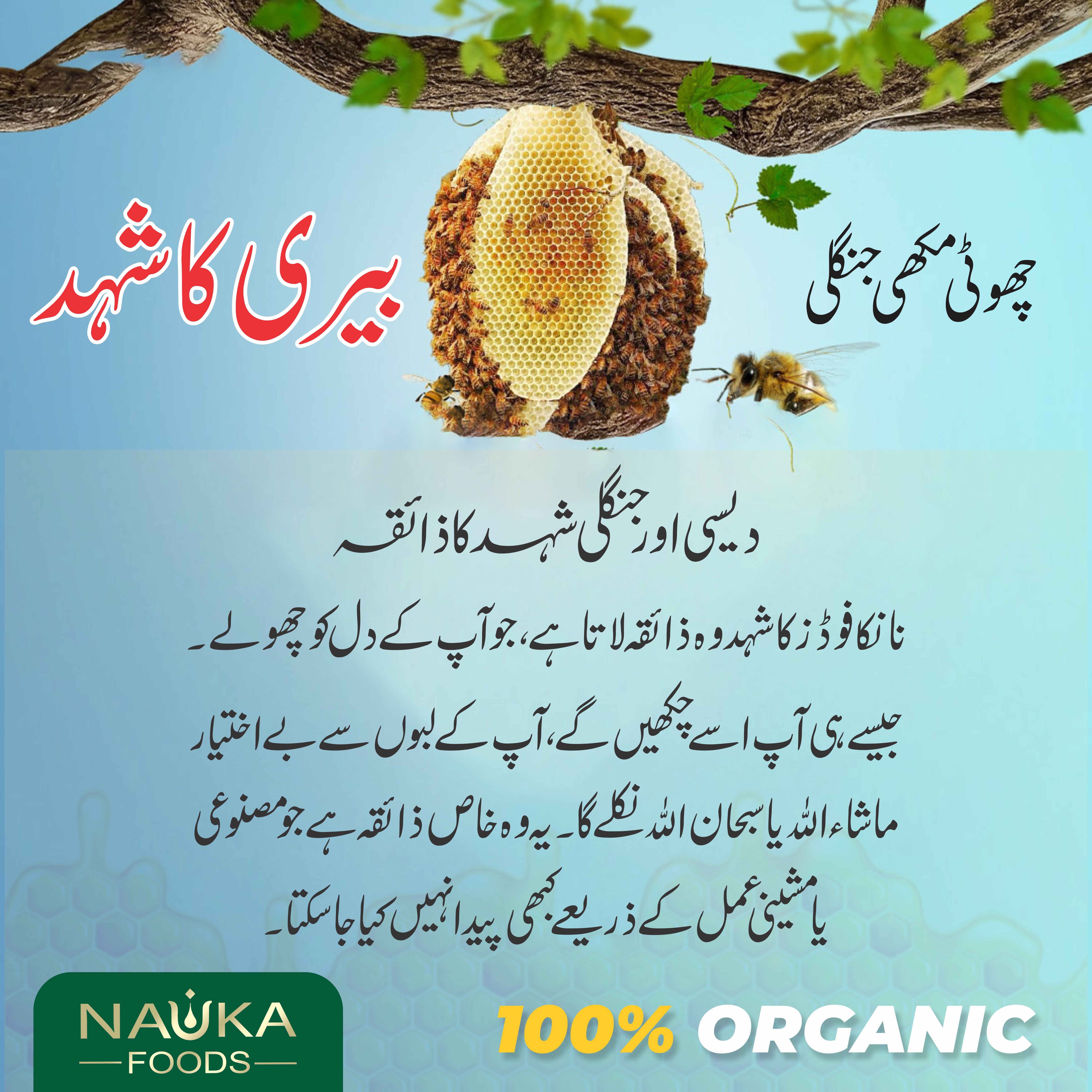 Pure Wild Mountain Sidr Honey from Small Bees – The Priceless Flavor of Potohar, Nature’s Healing Treasure! 🌿🍯 Order Now!