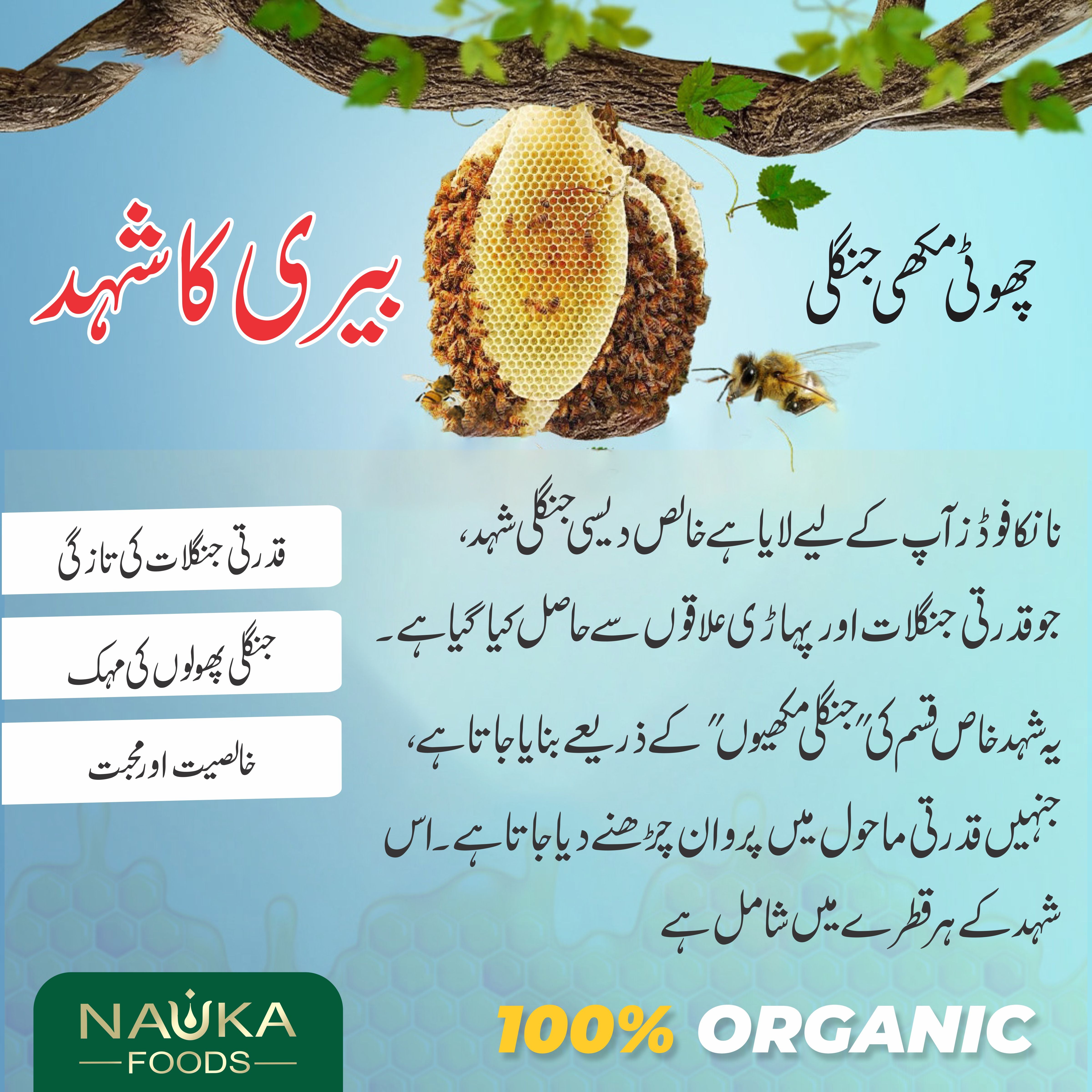 Pure Wild Mountain Sidr Honey from Small Bees – The Priceless Flavor of Potohar, Nature’s Healing Treasure! 🌿🍯 Order Now!