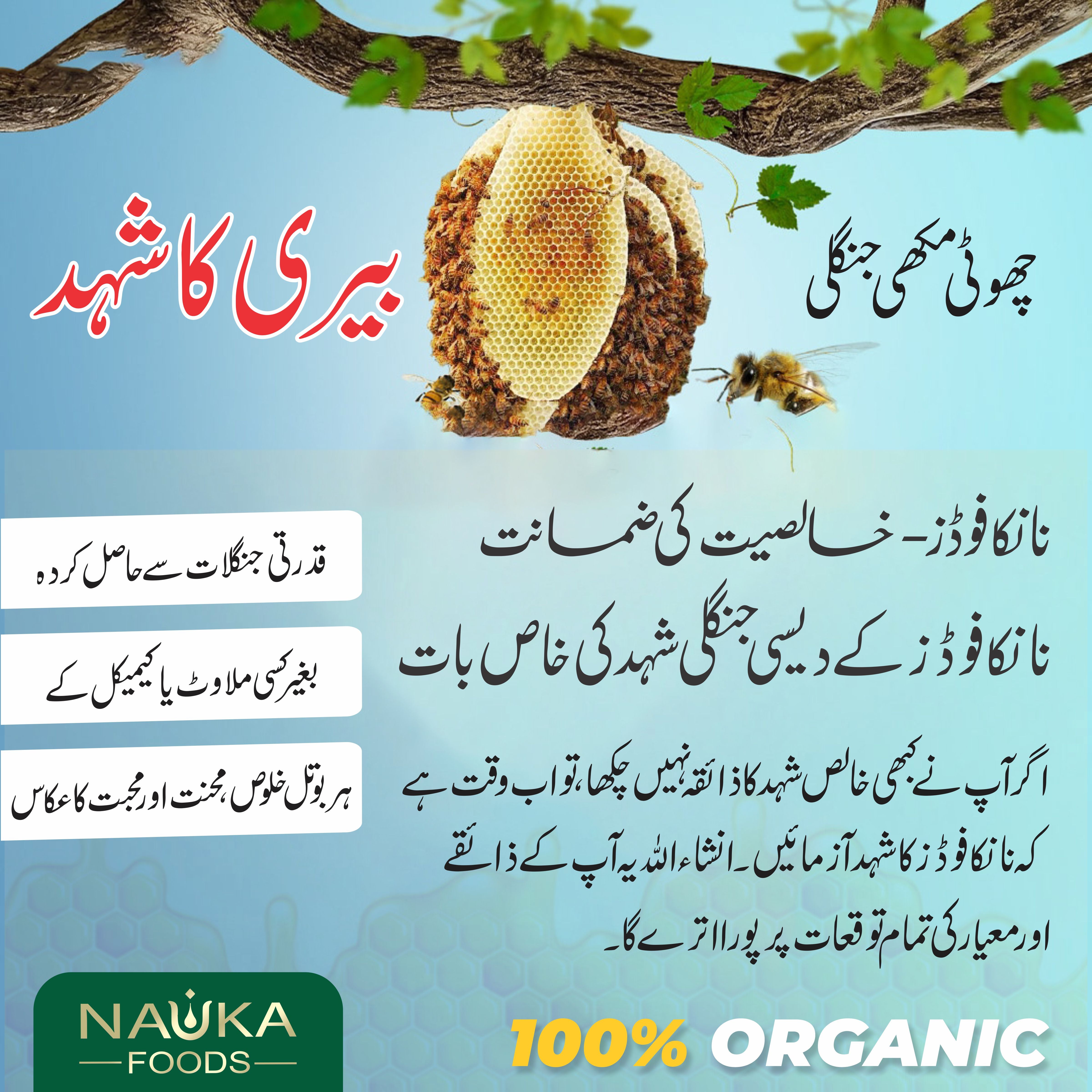 Pure Wild Mountain Sidr Honey from Small Bees – The Priceless Flavor of Potohar, Nature’s Healing Treasure! 🌿🍯 Order Now!