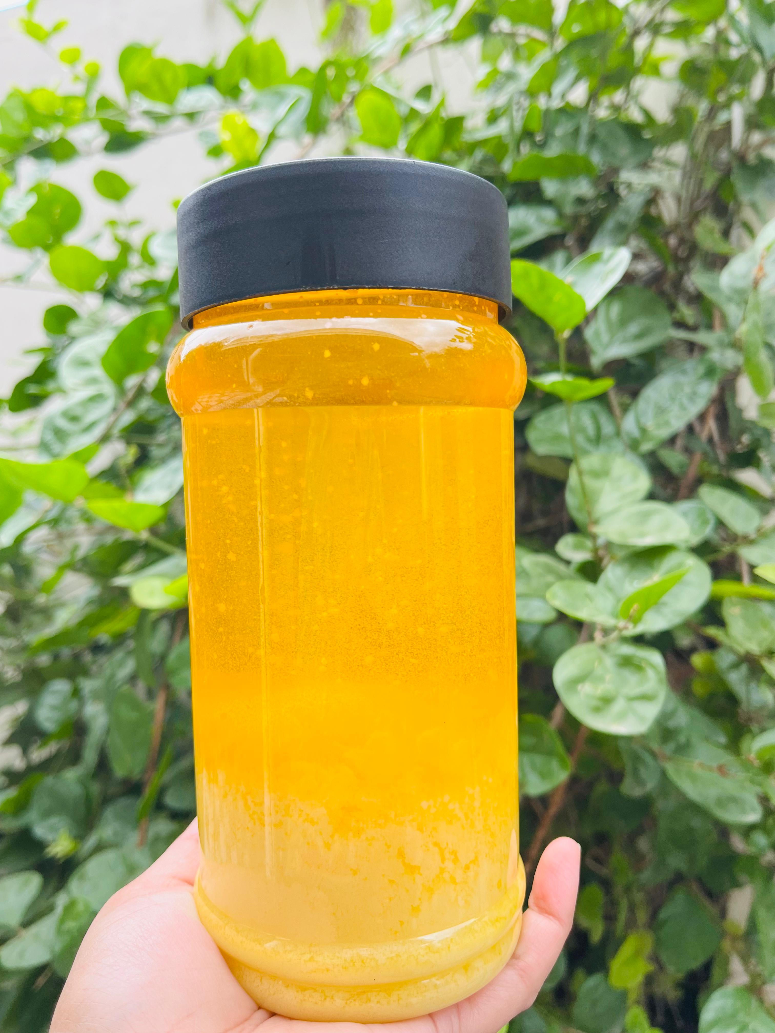 Home-made Extremely Pure Cow's Desi Ghee | Doodh →Dahi →Makhan →GHEE